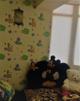 Продаю 1-к квартиру 43 кв.м.