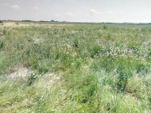 Продаю земельный участок 6сот. 890т. р.